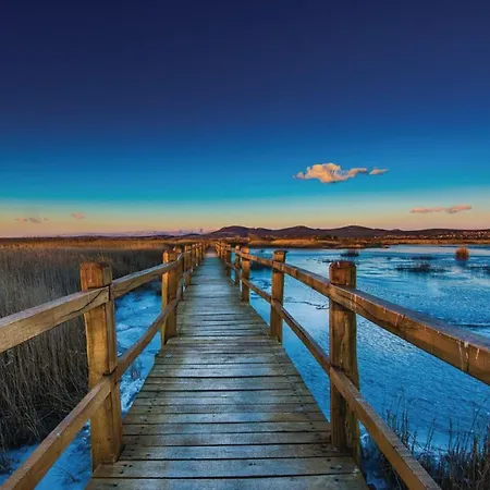 One Bedroom House With Terrace And Pool