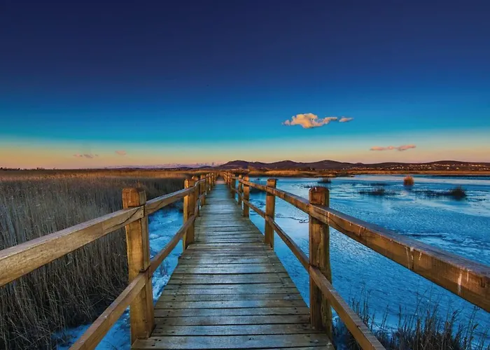 One Bedroom House With Terrace And Pool